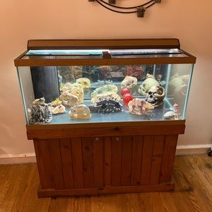 75 gallon fish tank